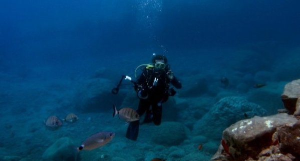 scuba diving in madeira island min